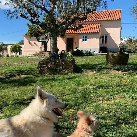 Alojamento de Turismo Rural Linhal Meias - São José Matas *