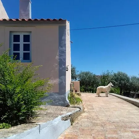 Linhal Meias - São José Matas Alojamento de Turismo Rural Envendos