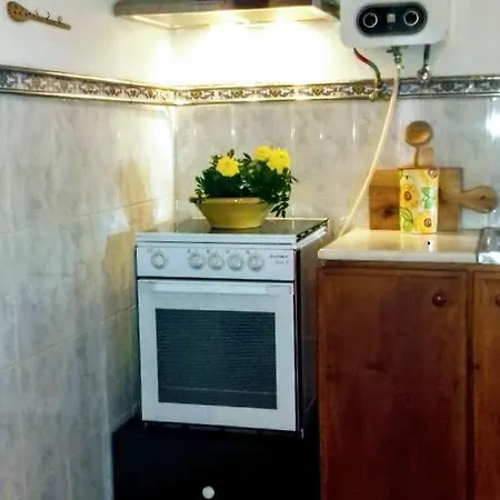 Linhal Meias - São José Matas Alojamento de Turismo Rural *