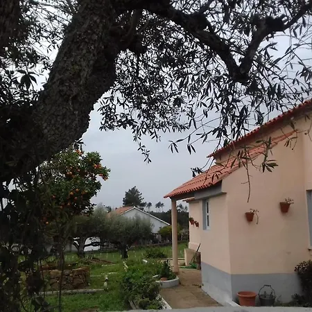 Alojamento de Turismo Rural Linhal Meias - São José Matas