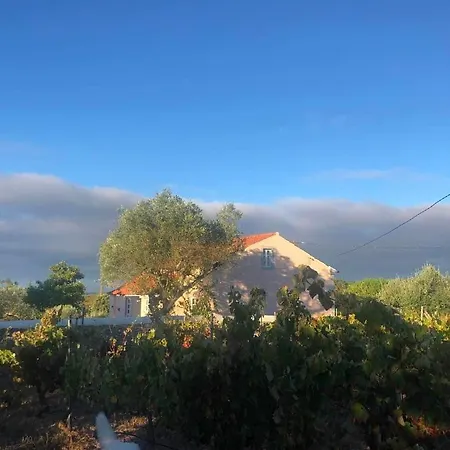 Linhal Meias - São José Matas Alojamento de Turismo Rural Envendos