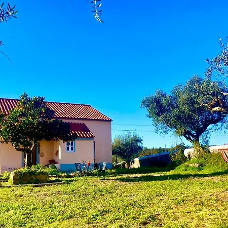 Linhal Meias - São José Matas Envendos