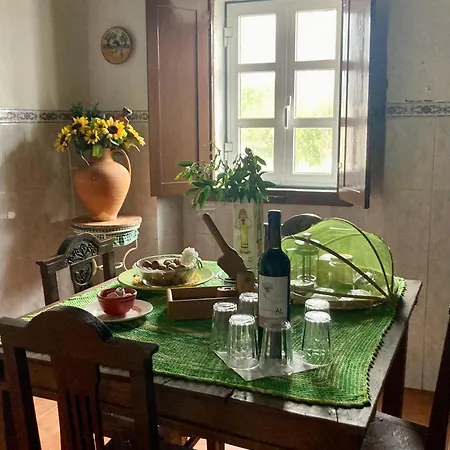 Alojamento de Turismo Rural Linhal Meias - São José Matas Envendos