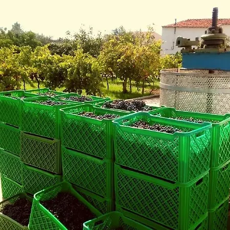 Linhal Meias - São José Matas Agroturismo *