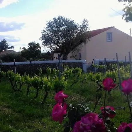 Linhal Meias - São José Matas Agroturismo